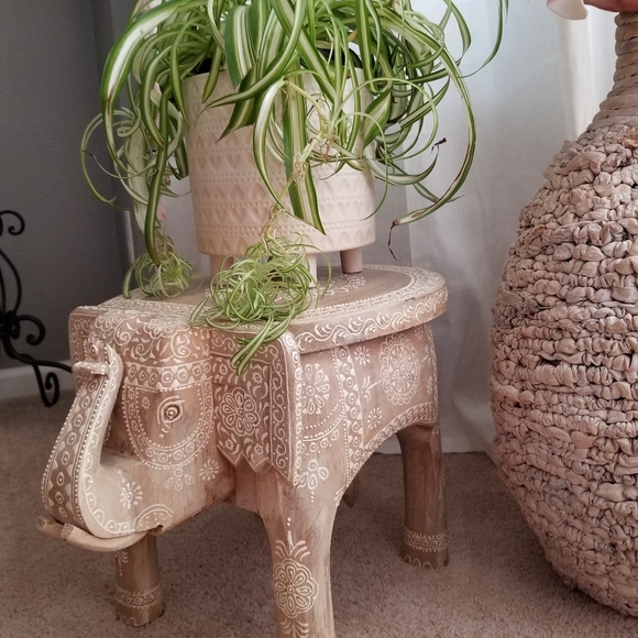 Meet your Posher, Linda - Picture 15 of 16